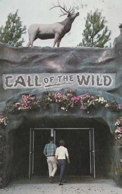 Call of the Wild - Old Postcard (newer photo)
